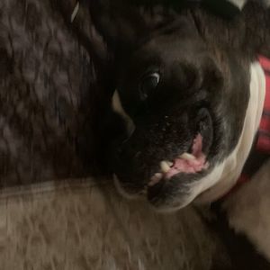 Meet your Posher, Jayla